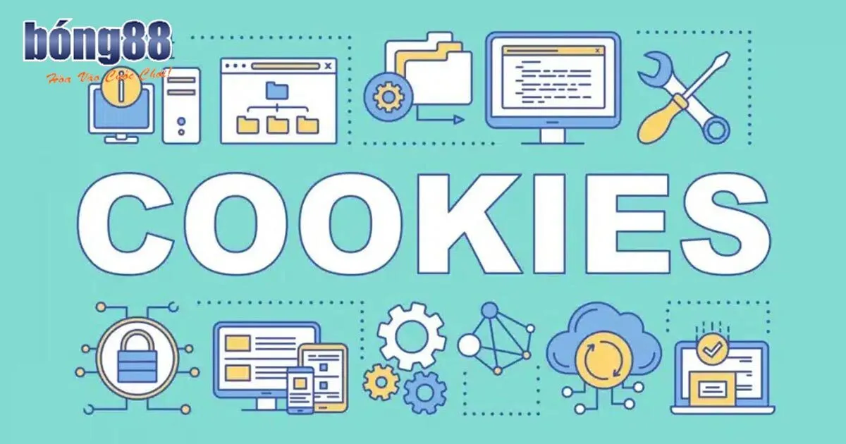 Chính Sách Cookie Bong88 - Cập Nhật Thông Tin Mới Nhất 2024 Đôi nét về chính sách cookie Bong88
